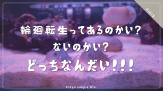 輪廻転生ってあるのかい？ないのかい？どっちなんだい!!!