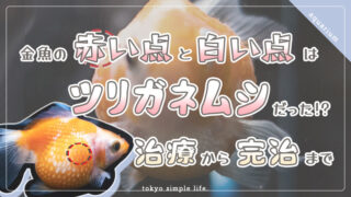 病気 治療 飼い方 Tokyosimplelife