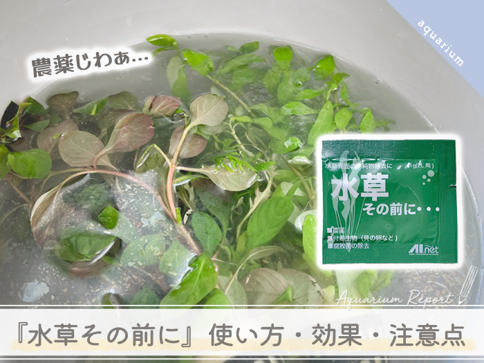 水草を買ったので 水草その前に を使ってみた 効果 使い方 注意点 Tokyosimplelife